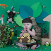 jungle theme by arpna cake smash kormangala bangalore