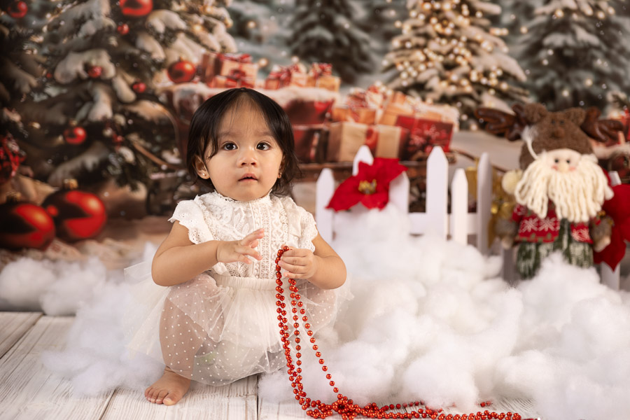 Christmas Photography