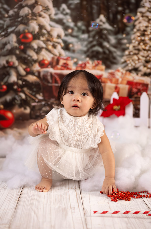 Christmas Photography